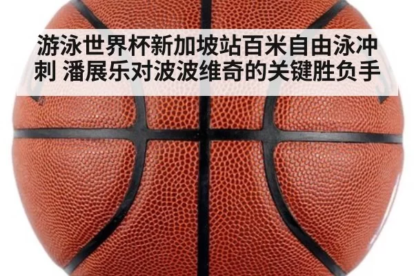游泳世界杯新加坡站百米自由泳冲刺 潘展乐对波波维奇的关键胜负手